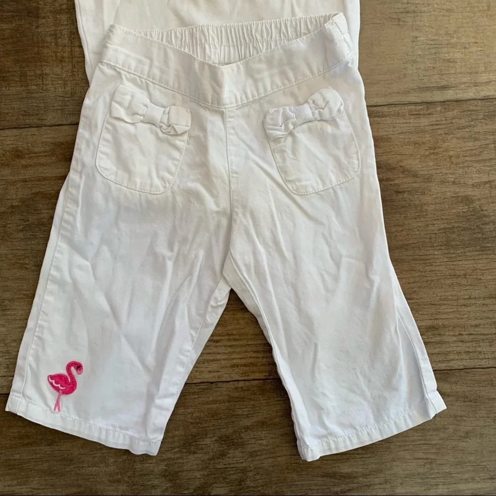 Gymboree flamingo outfit